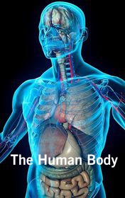 Alex Raynham "The Human Body"