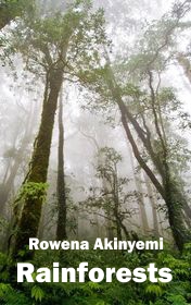 Rowena Akinyemi "Rainforests"